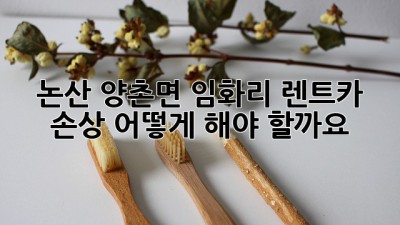논산 양촌면 임화리 렌트카 손상, 어떻게 해야 할까요?
